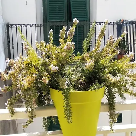 Dimora Dioniso Oda ve Kahvaltı