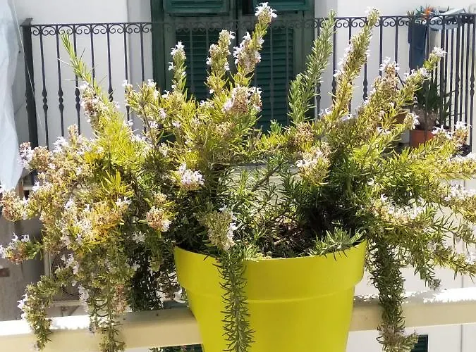 Dimora Dioniso Bed & Breakfast